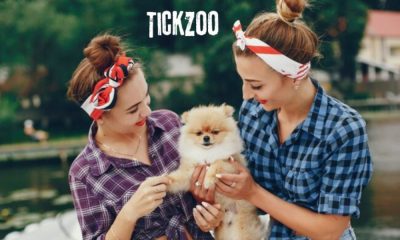 TickZoo Unmasked: The Debate Over Freedom of Expression in Travel
